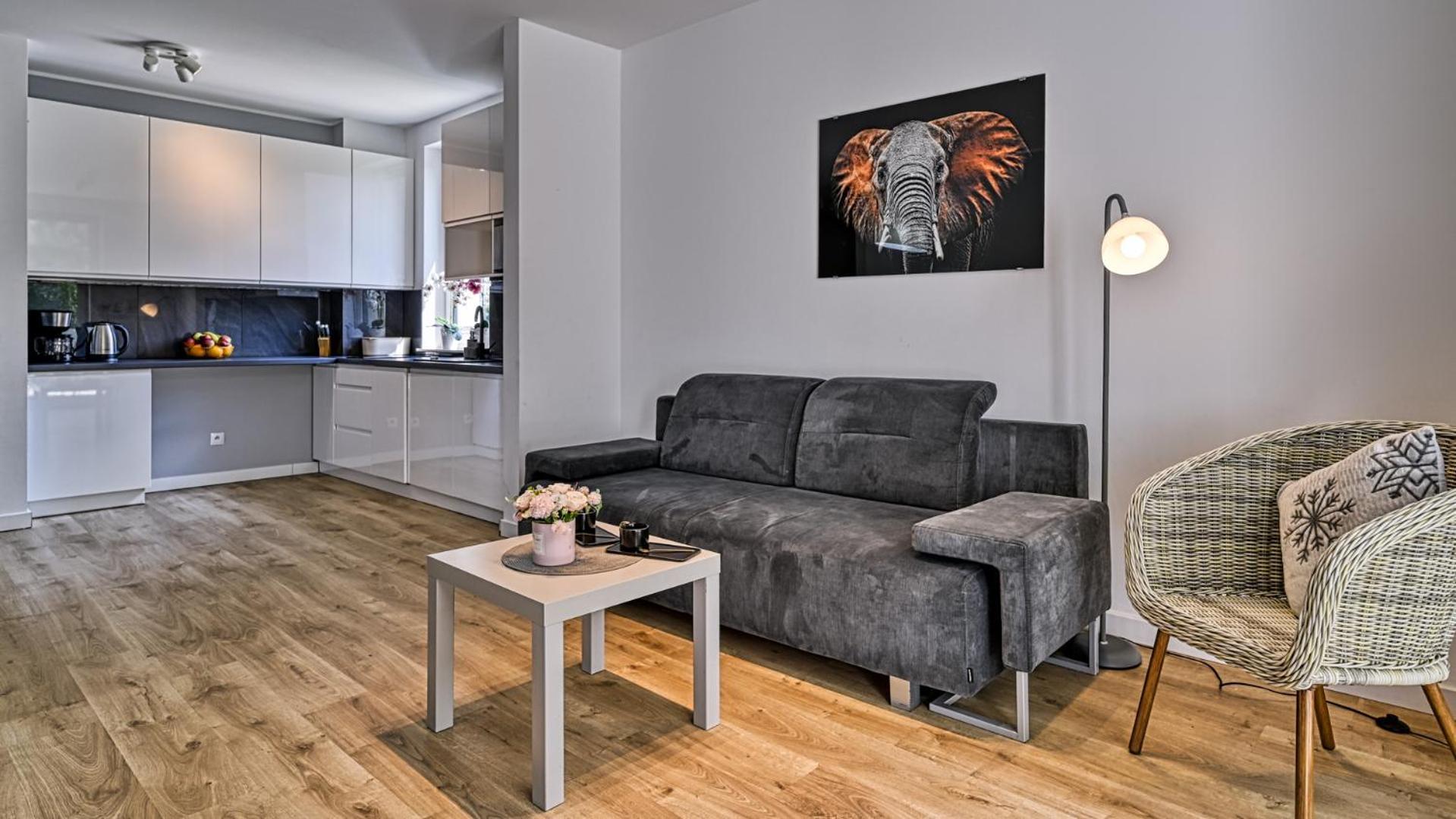 Apartment Piano By Royal Aparts Swieradow-Zdroj